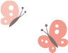 蝶々