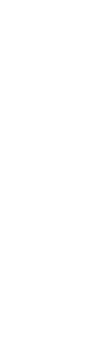 あなたの、わたしの、二ノ国。
