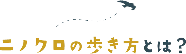 ニノクロの歩き方とは？